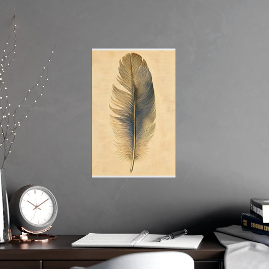 One Feather — one feather, shown framed on a wall