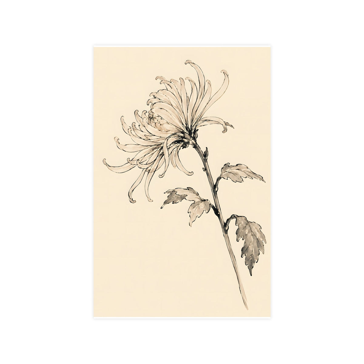 Chrysanthemum — one of the Four Gentlemen ink set of 4