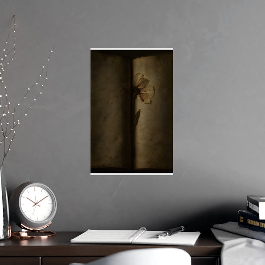 Pressed Flat — pressed flat, shown framed on a wall