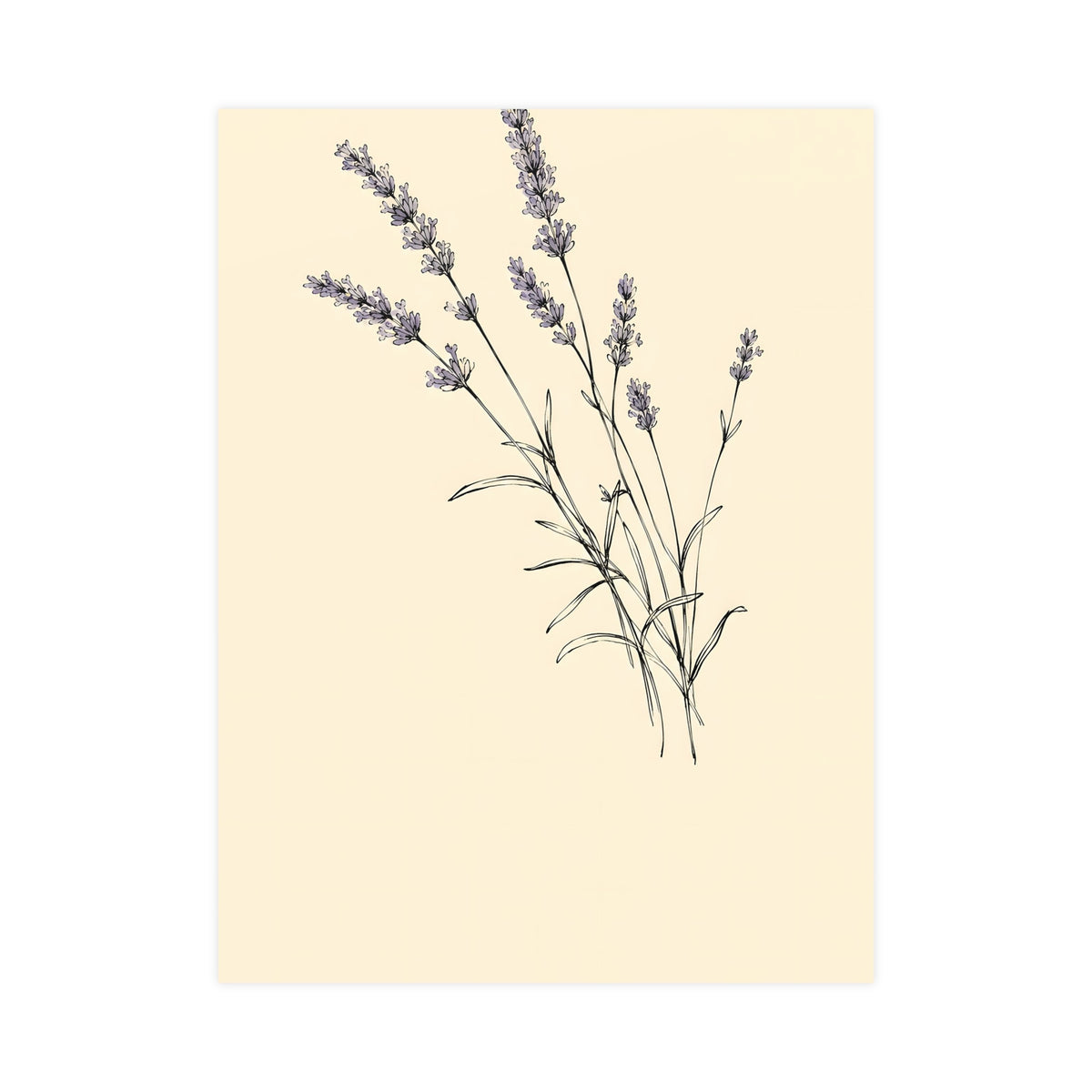 Lavender Sprig — lavender sprig, 18x24 in print