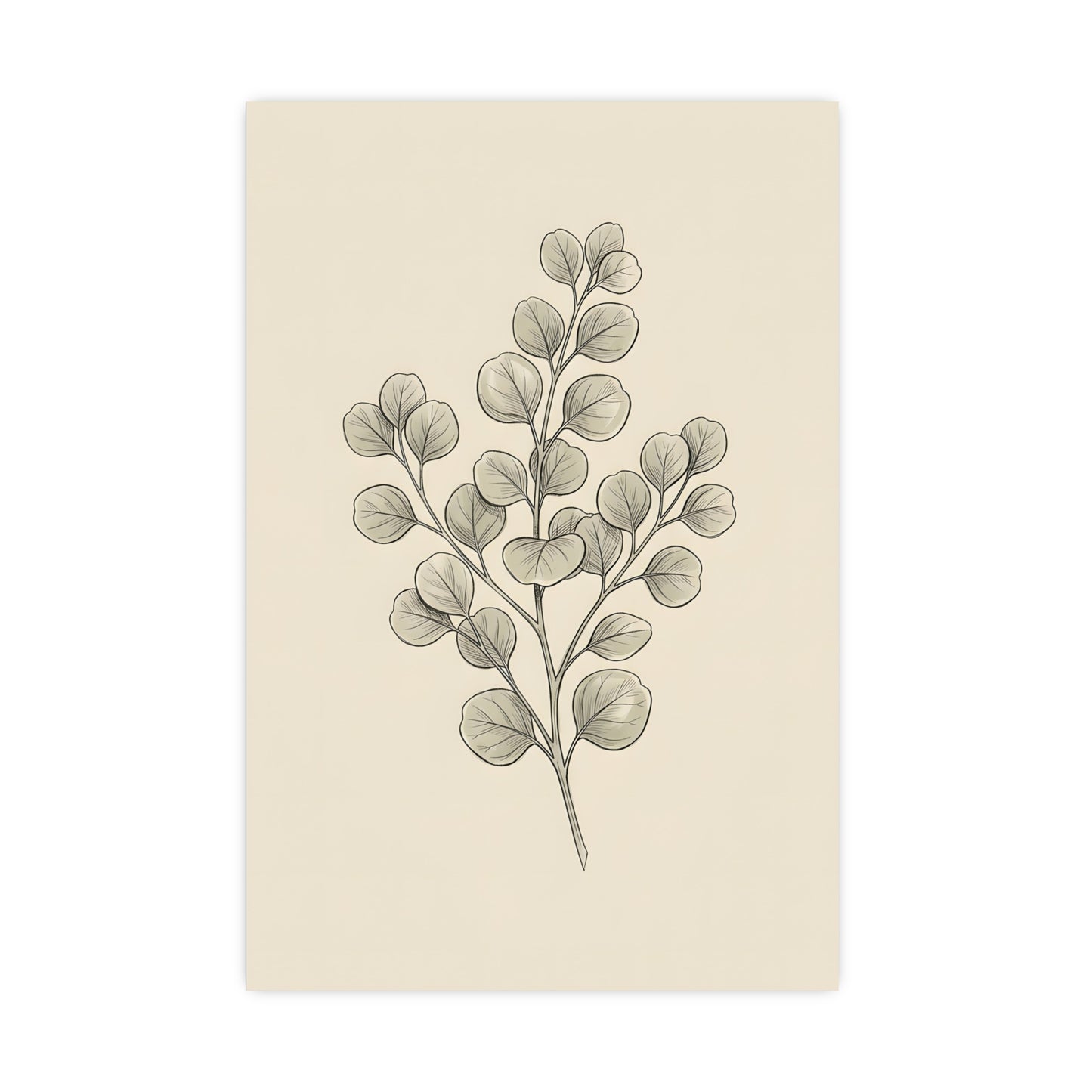 Eucalyptus — eucalyptus, 20x30 in print