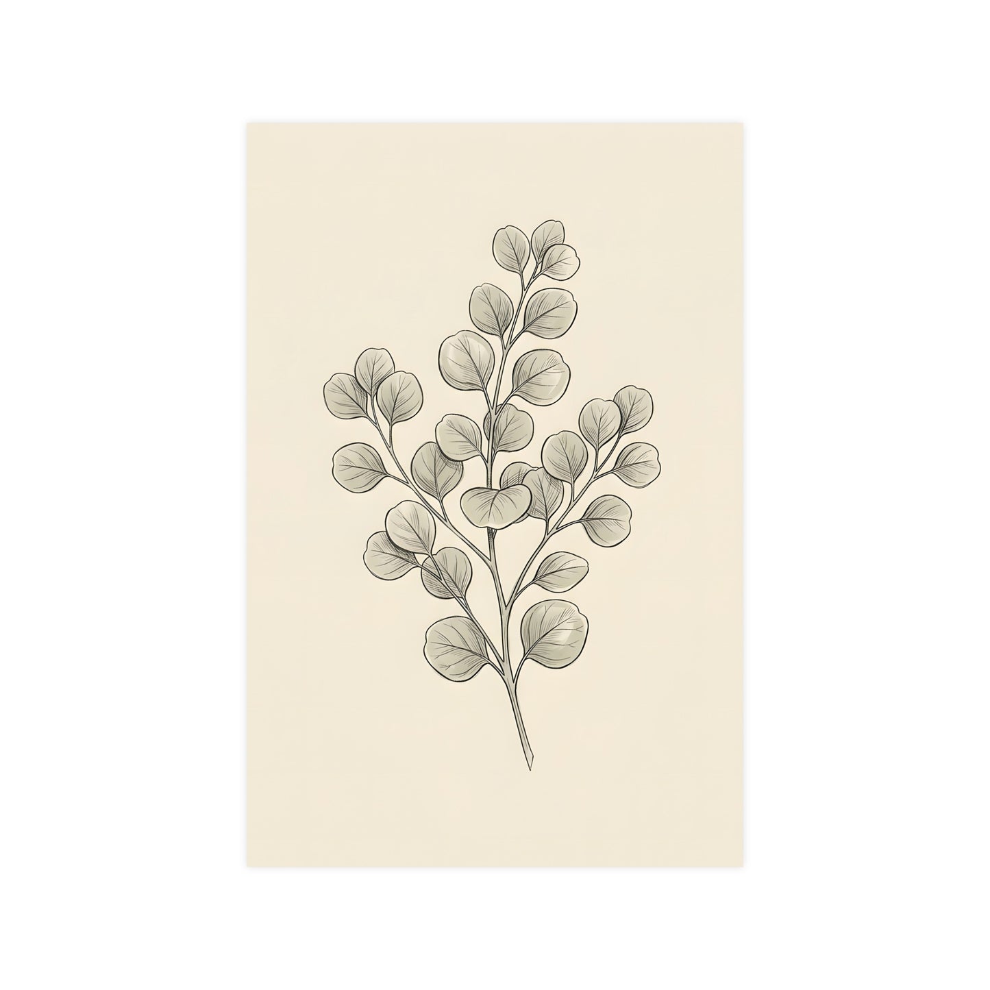 Eucalyptus — eucalyptus, 12x16 in print