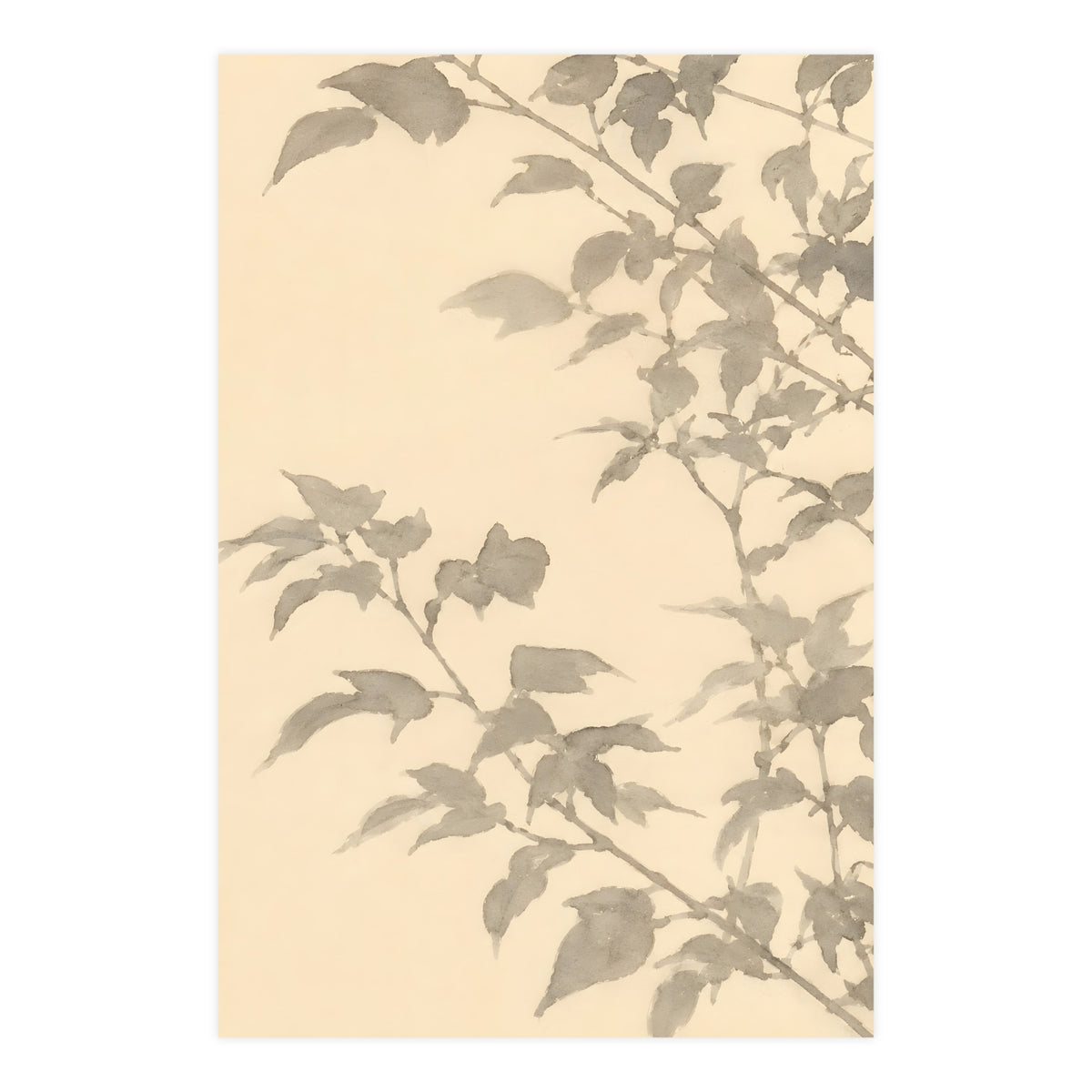 Leaf Shadow — leaf shadow, 24x36 in print