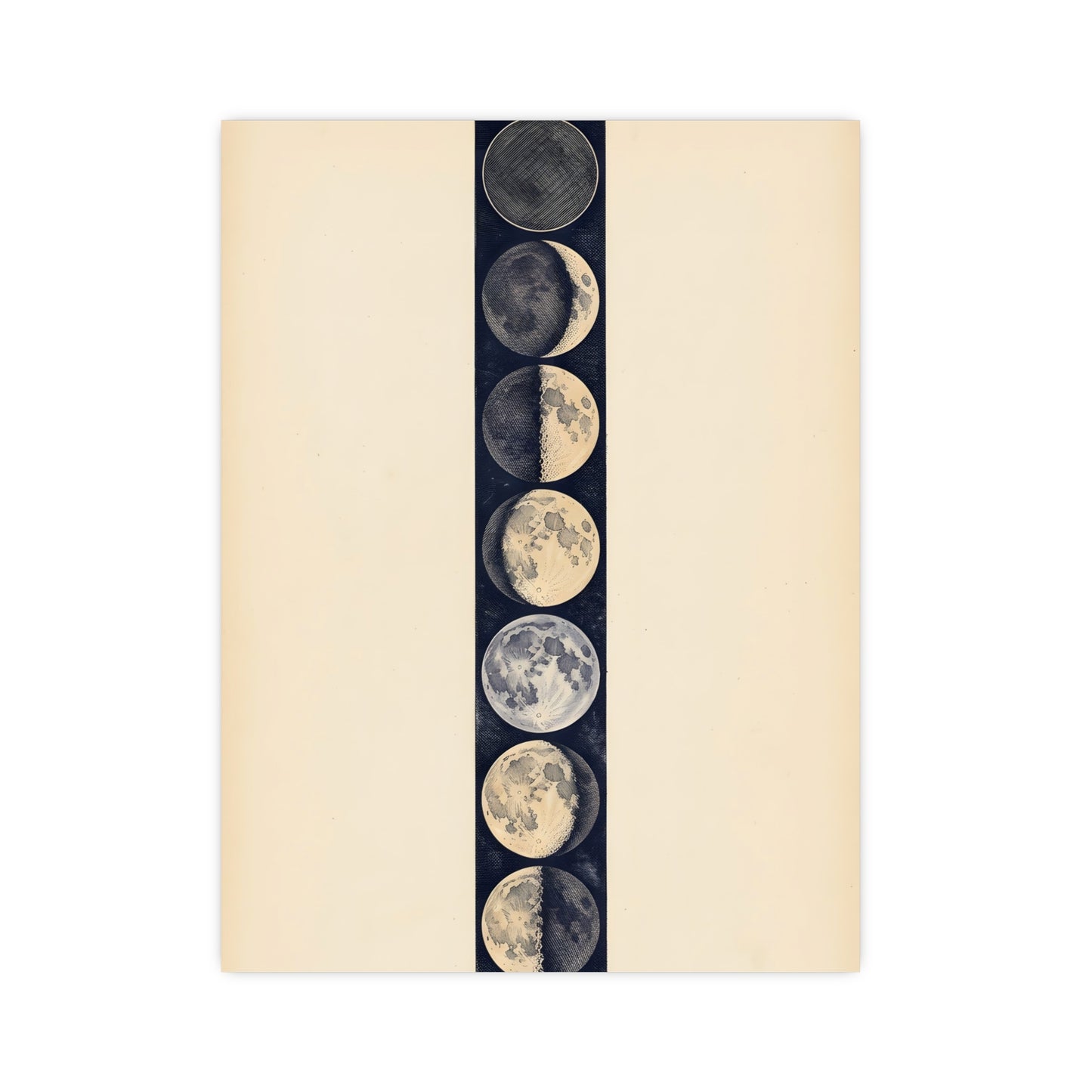 Phases of the Moon — phases of the moon, 16x24 in print