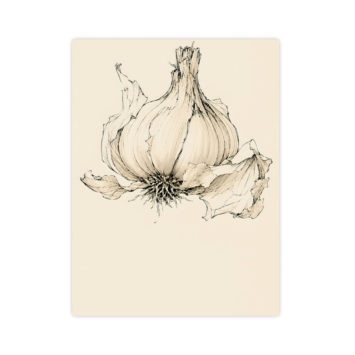 Garlic — garlic, 12x16 in print