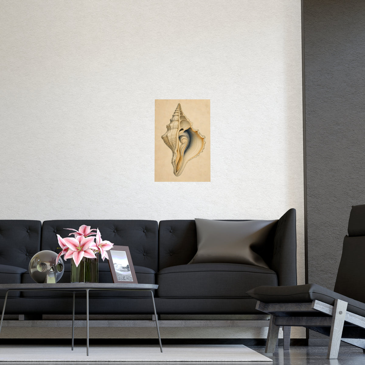 Conch Shell — conch shell, shown framed on a wall