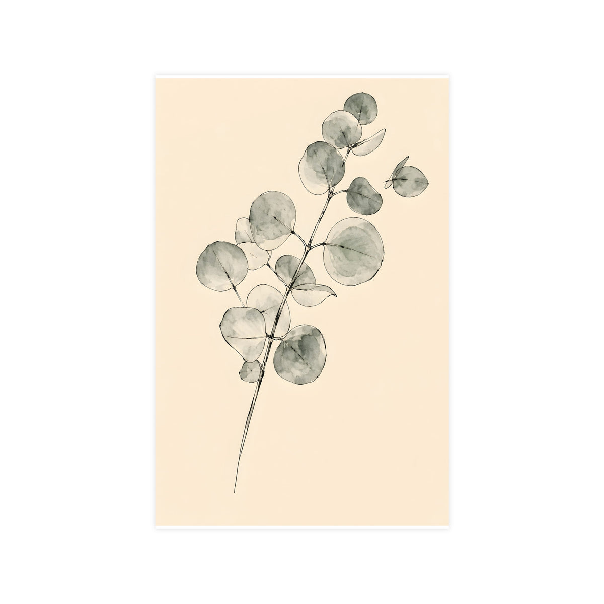 Eucalyptus — eucalyptus, 11x17 in print