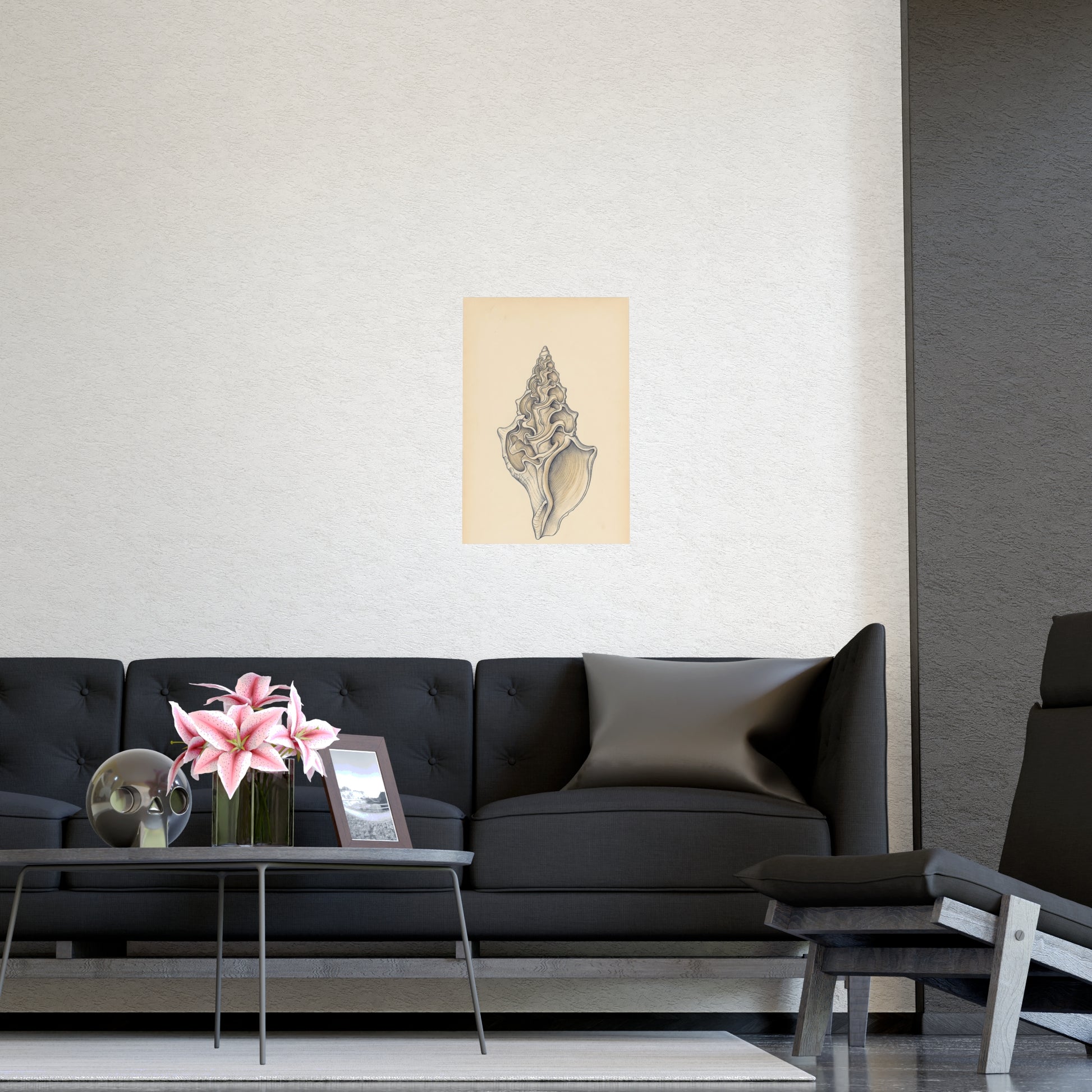 Conch Shell on a plain wall, shown at a larger size, 16x24 in print
