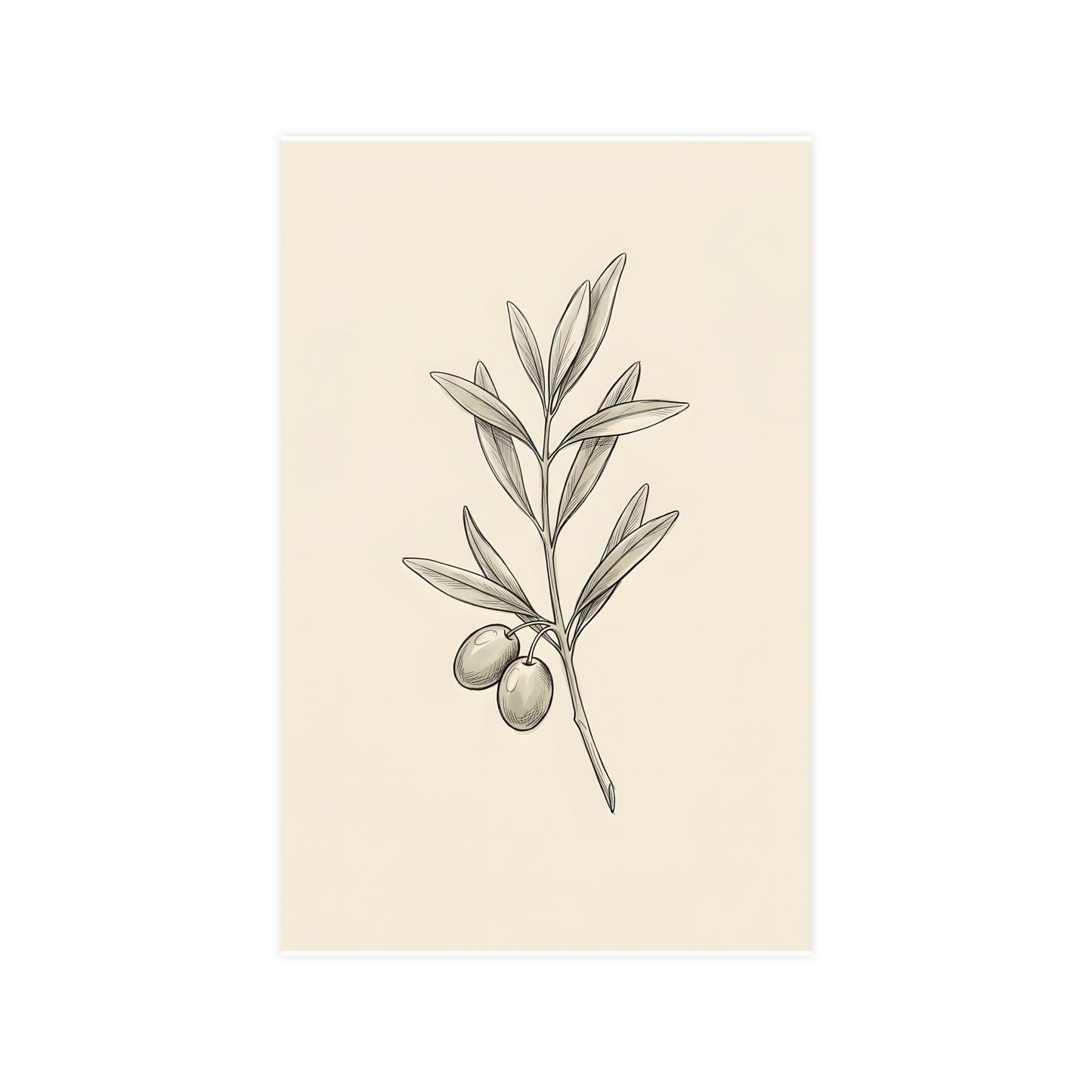 Olive Branch — olive branch, 11x17 in print