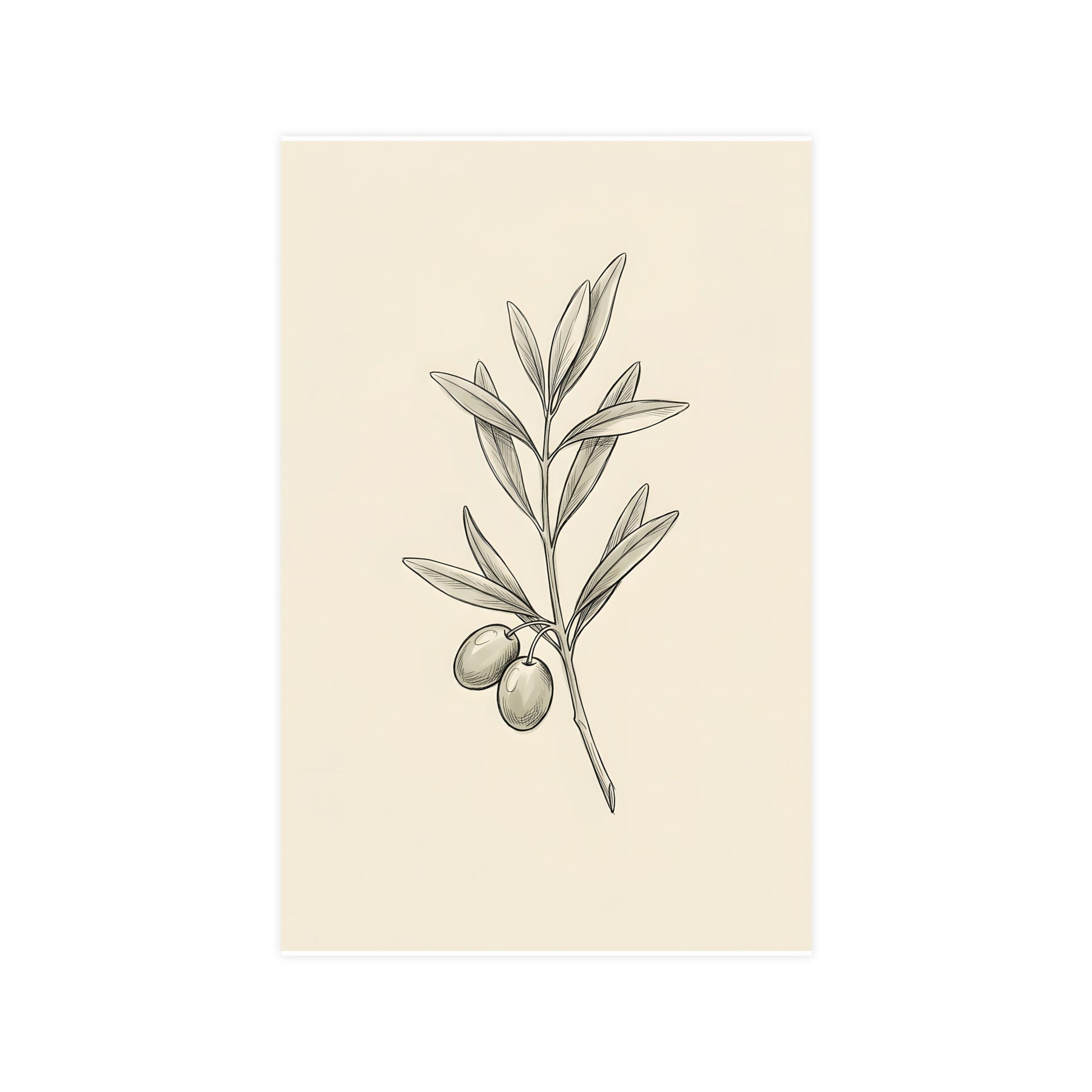 Olive Branch — olive branch, 11x17 in print