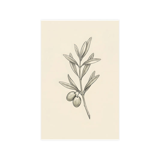 Olive Branch — olive branch, 11x17 in print