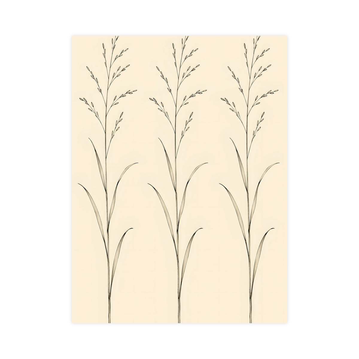 Three Stems — three stems, 18x24 in print