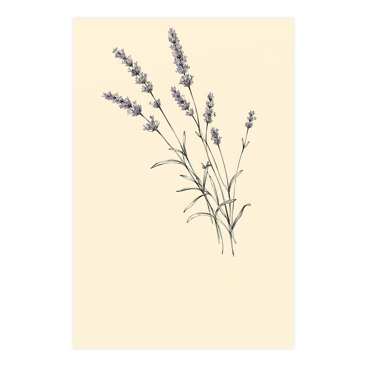 Lavender Sprig — lavender sprig, 24x36 in print