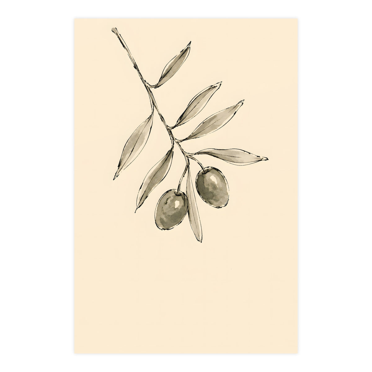 Olive Branch — olive branch, 24x36 in print
