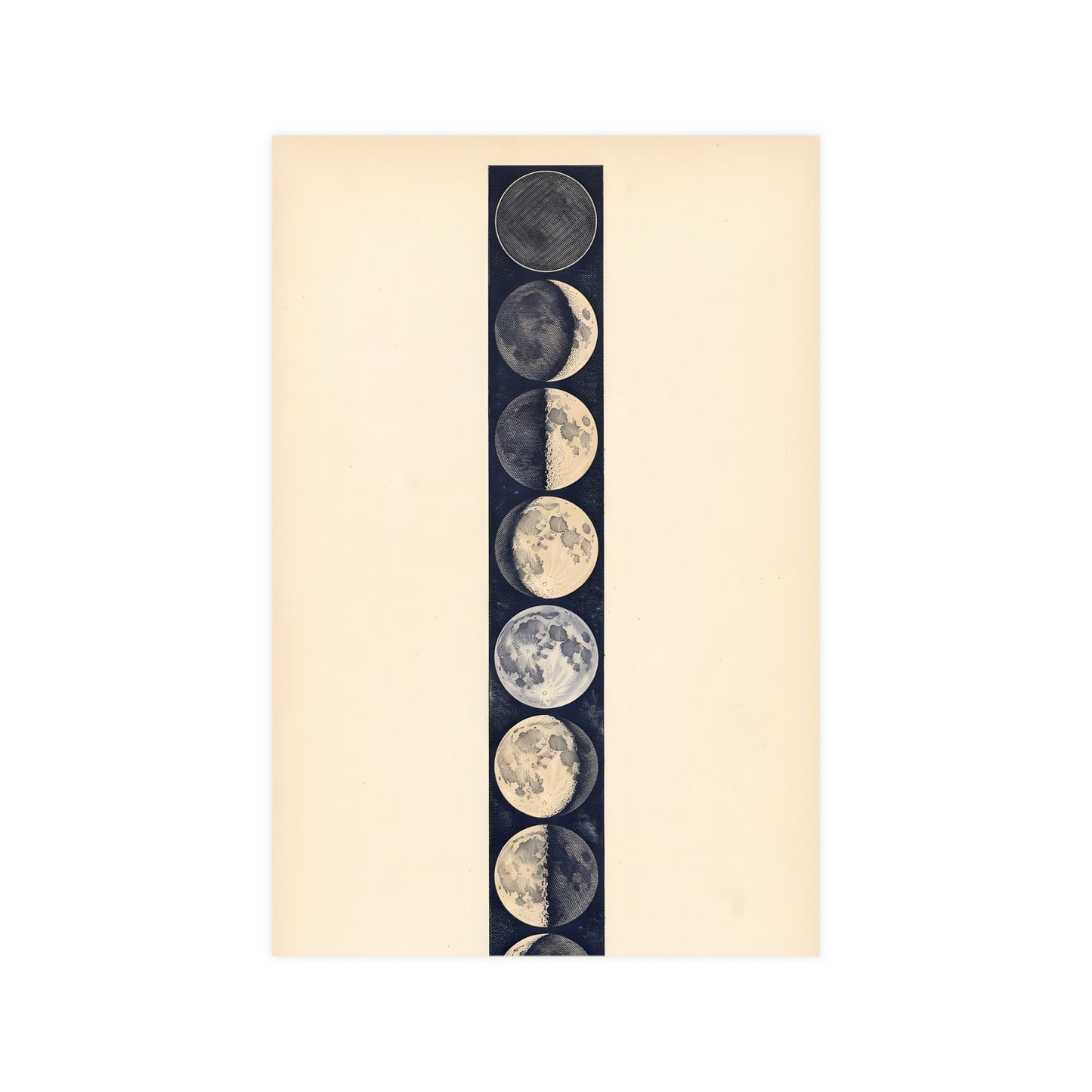 Phases of the Moon — phases of the moon, 12x16 in print