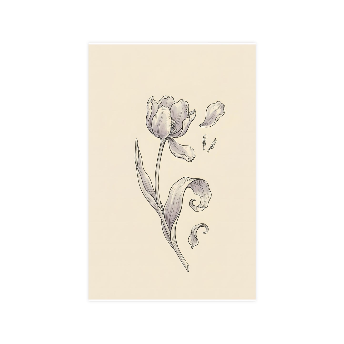 Tulip, Just Past — tulip, just past, 11x17 in print