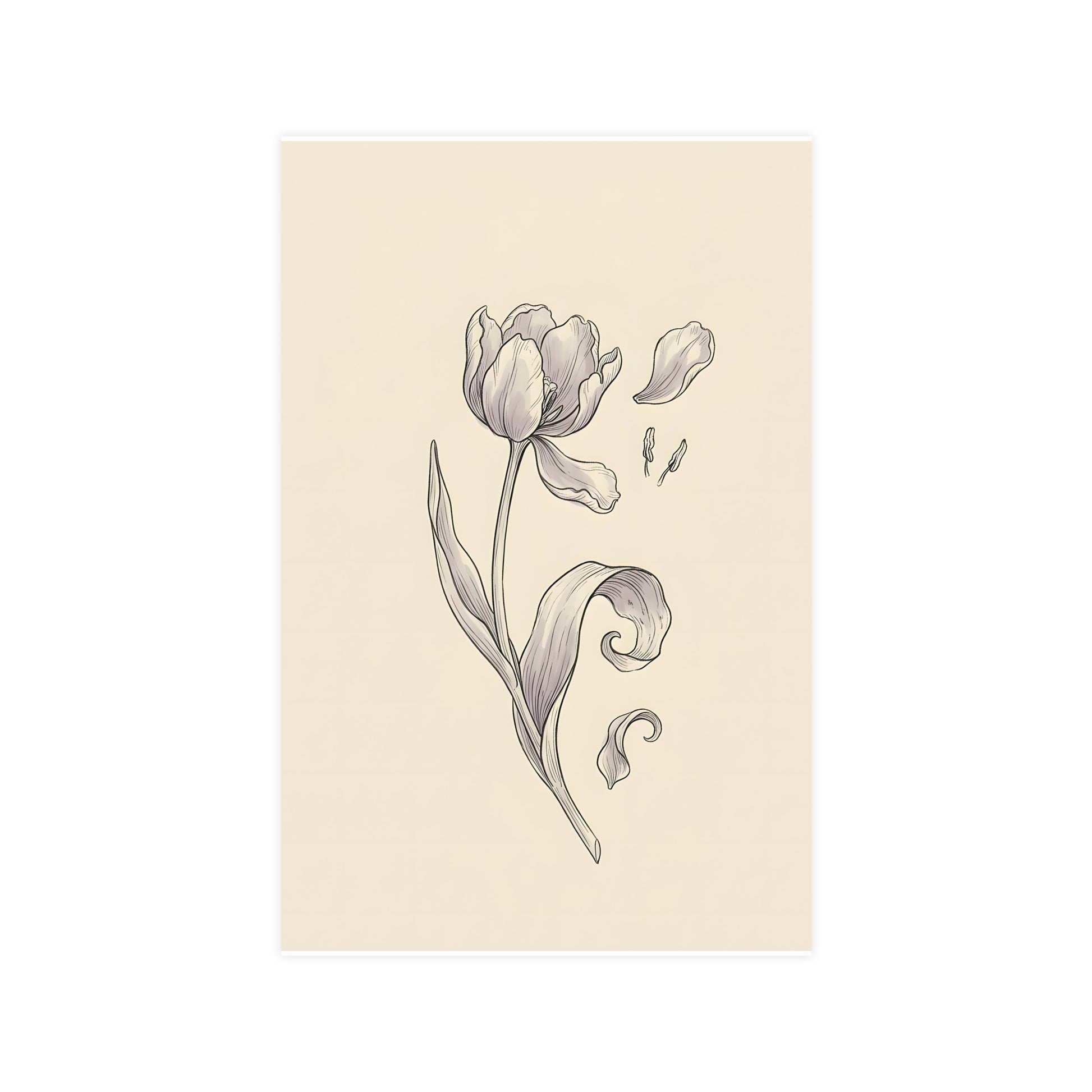 Tulip, Just Past — tulip, just past, 11x17 in print