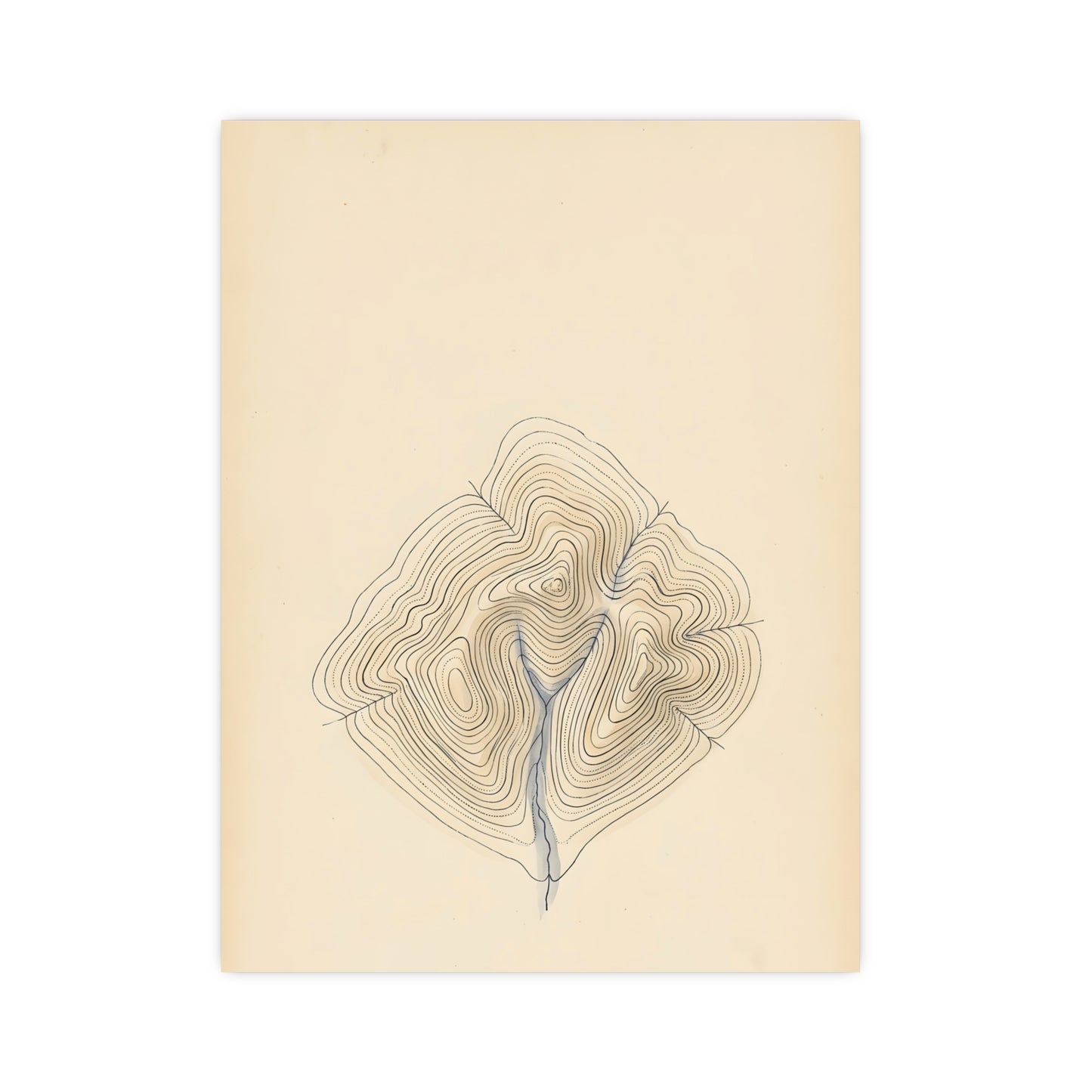 Contour Lines — contour lines, 16x24 in print