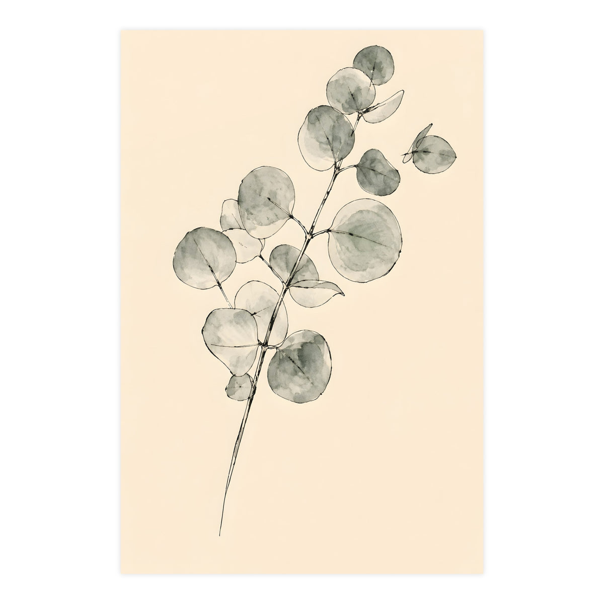 Eucalyptus — eucalyptus, 24x36 in print