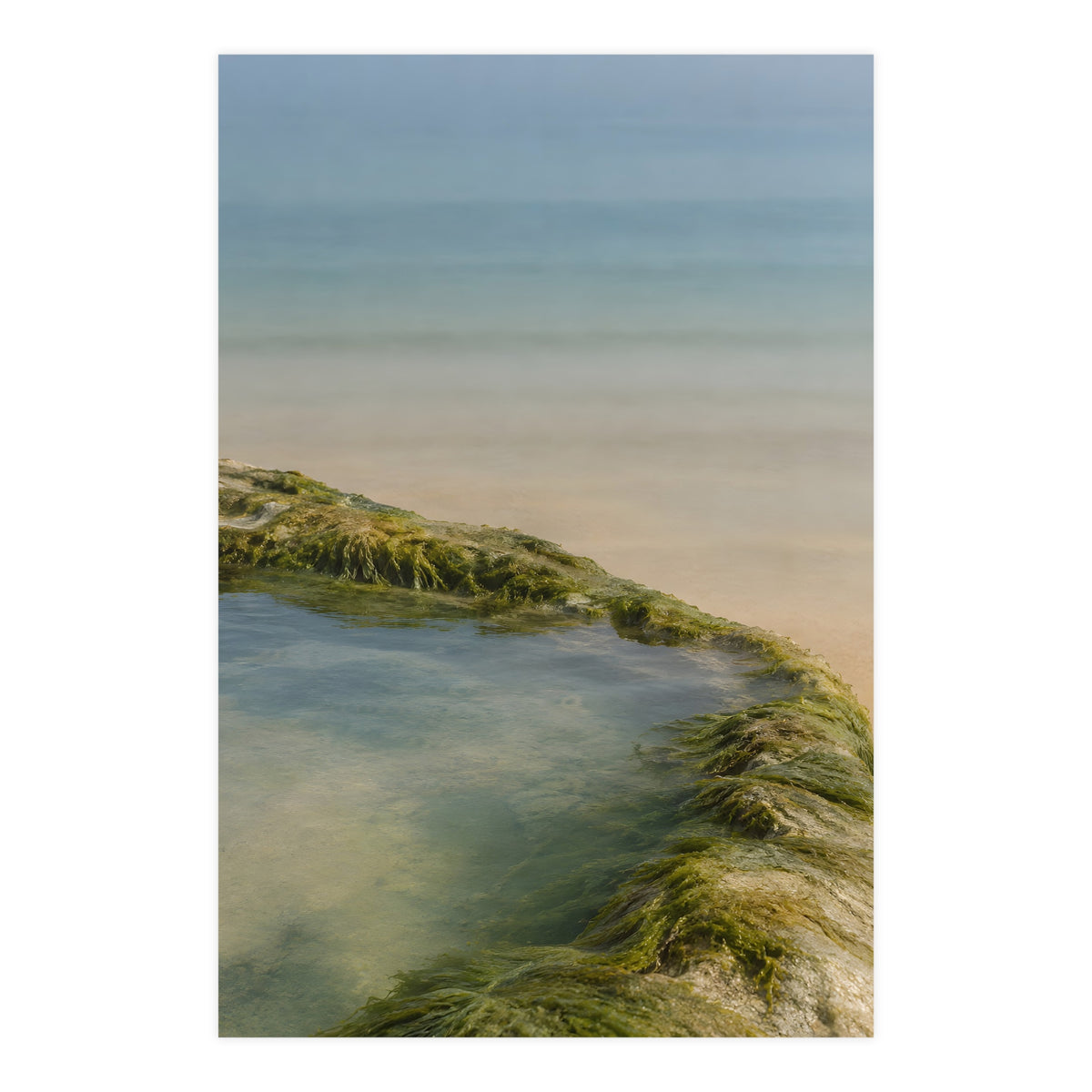 The Rock Pool's Rim — the rock pool's rim, 24x36 in print