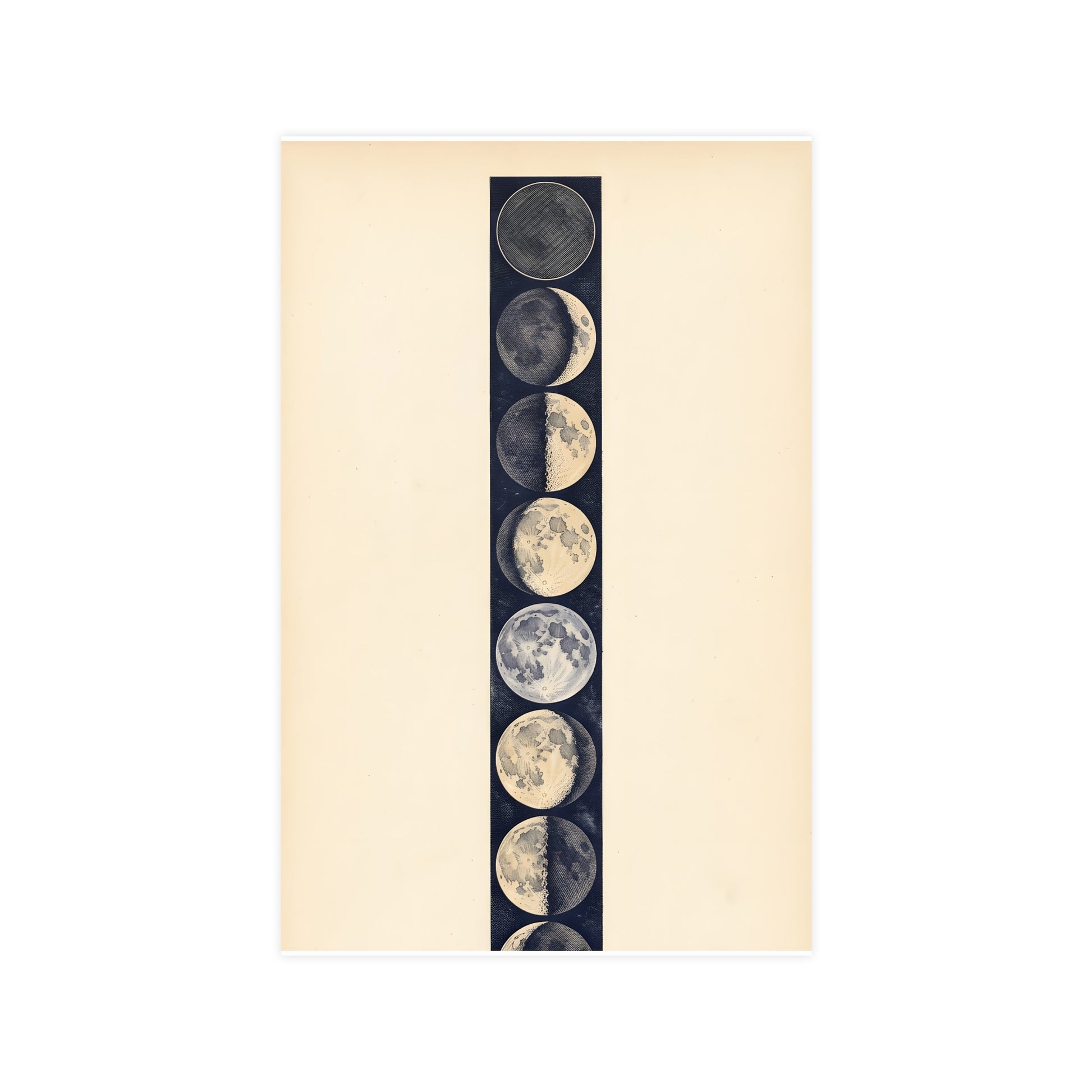 Phases of the Moon — phases of the moon, 11x17 in print