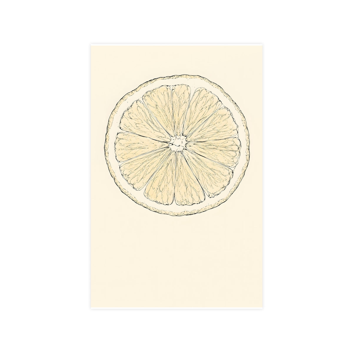 Citrus, Halved — citrus, halved, 11x17 in print