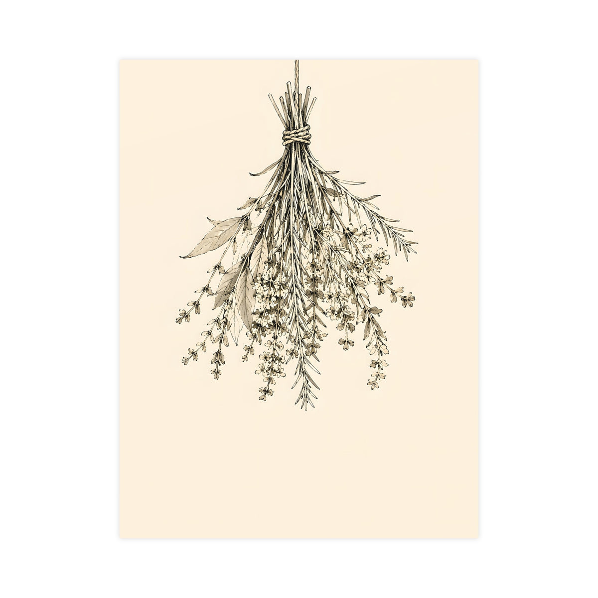 Hung to Dry — hung to dry, 18x24 in print