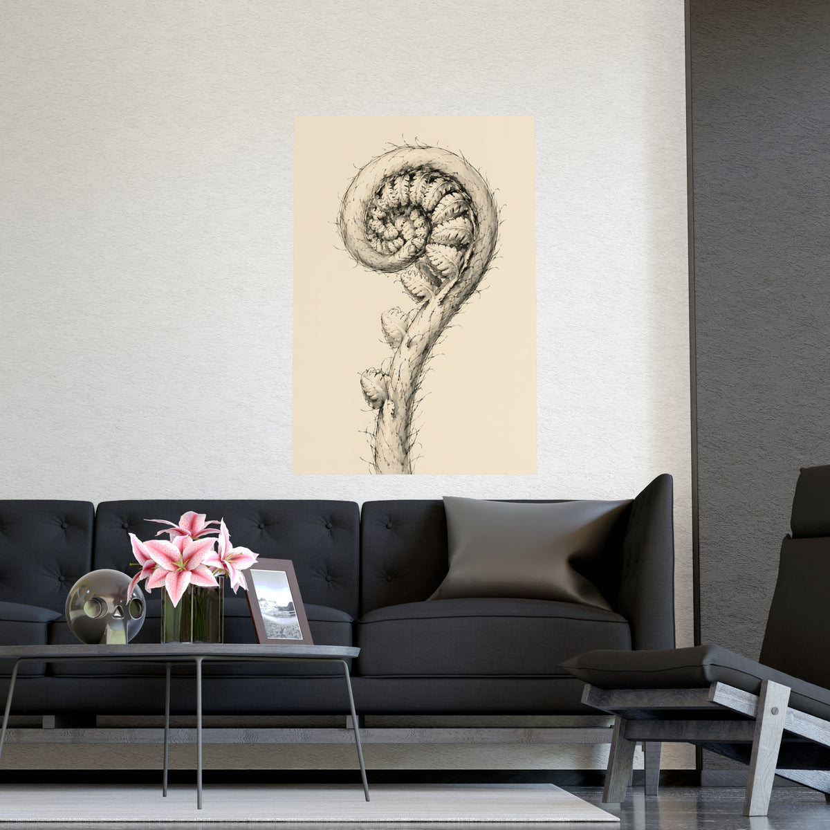 Fern, Still Curled — fern, still curled, shown framed on a wall