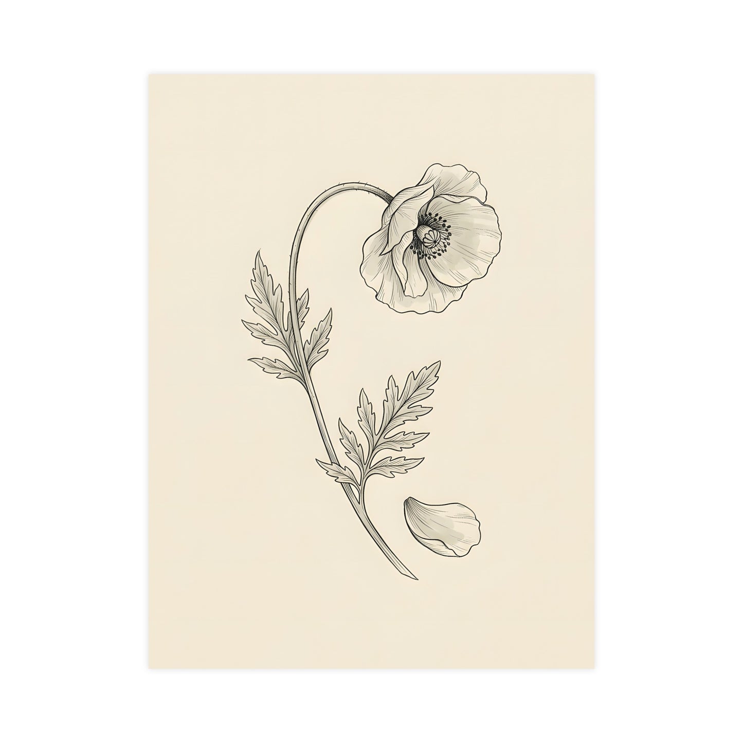 Wild Poppy hung on a grey wall above a dark sofa, 12x18 in print