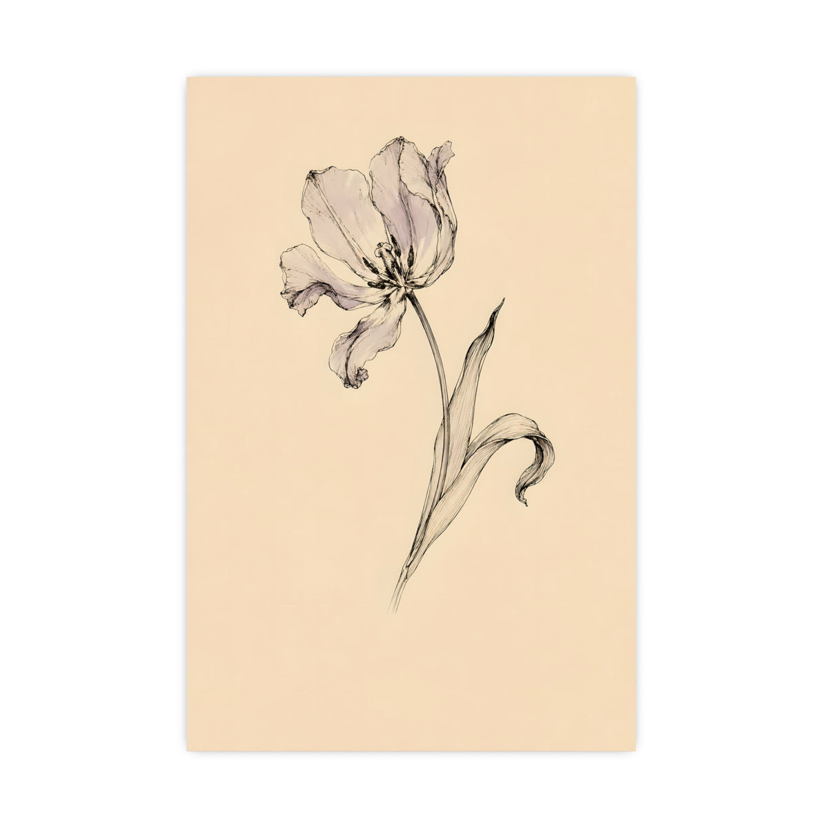 Tulip, Just Past — tulip, just past, 20x30 in print