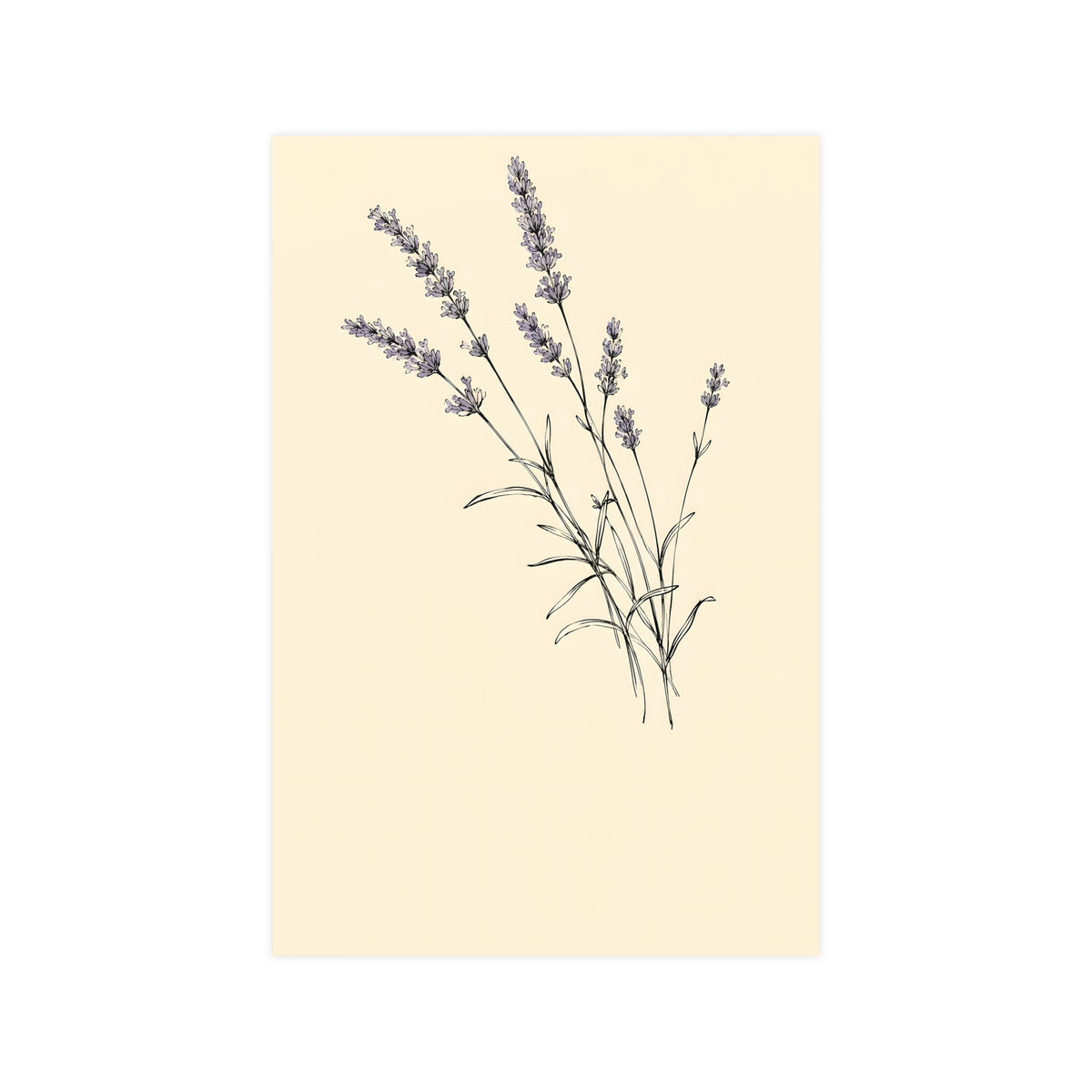 Lavender Sprig — lavender sprig, 12x18 in print