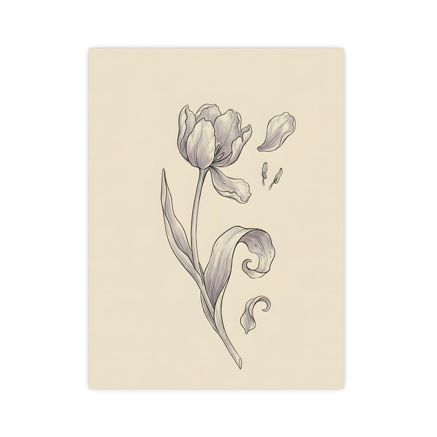 Tulip, Just Past — tulip, just past, 16x24 in print