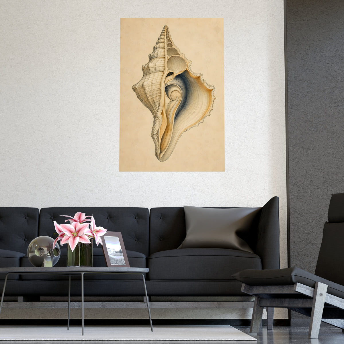 Conch Shell — conch shell, shown framed on a wall