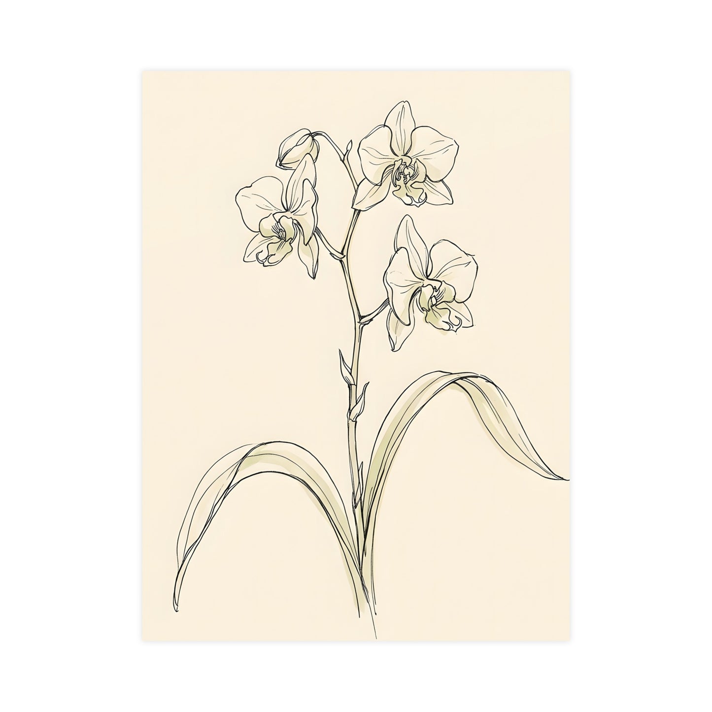 Orchid — orchid, 12x18 in print
