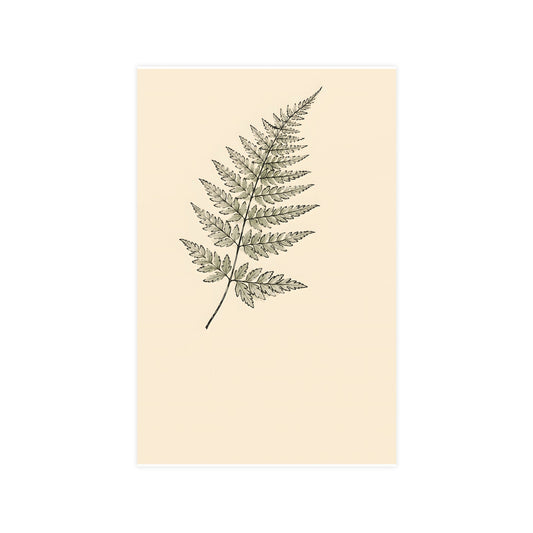 Fern Frond — fern frond, 11x17 in print