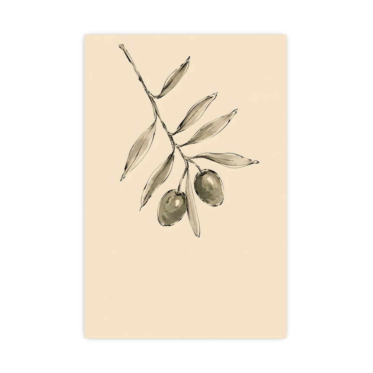 Olive Branch — olive branch, 20x30 in print
