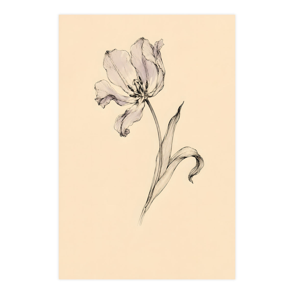 Tulip, Just Past — tulip, just past, 24x36 in print