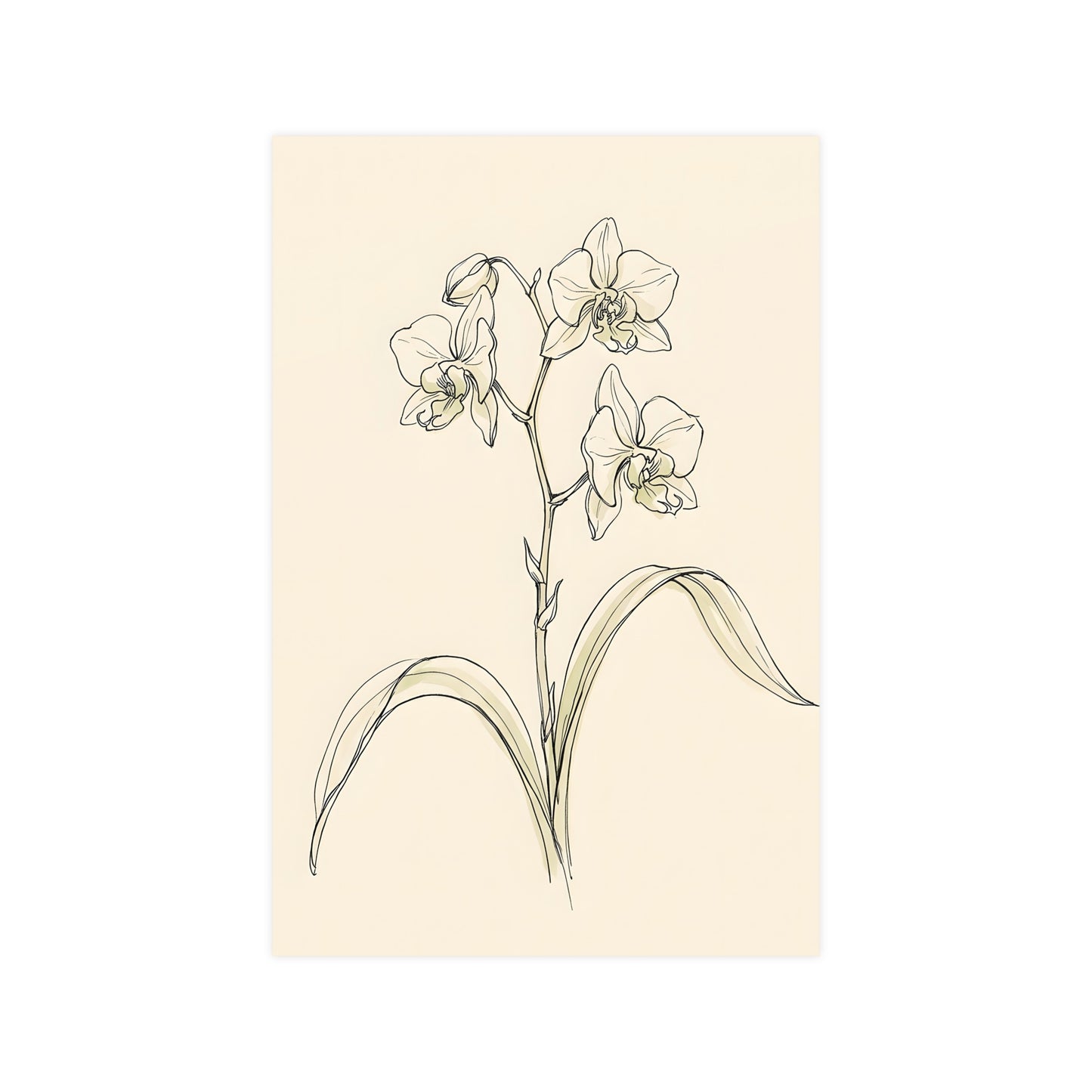 Orchid — orchid, 12x16 in print