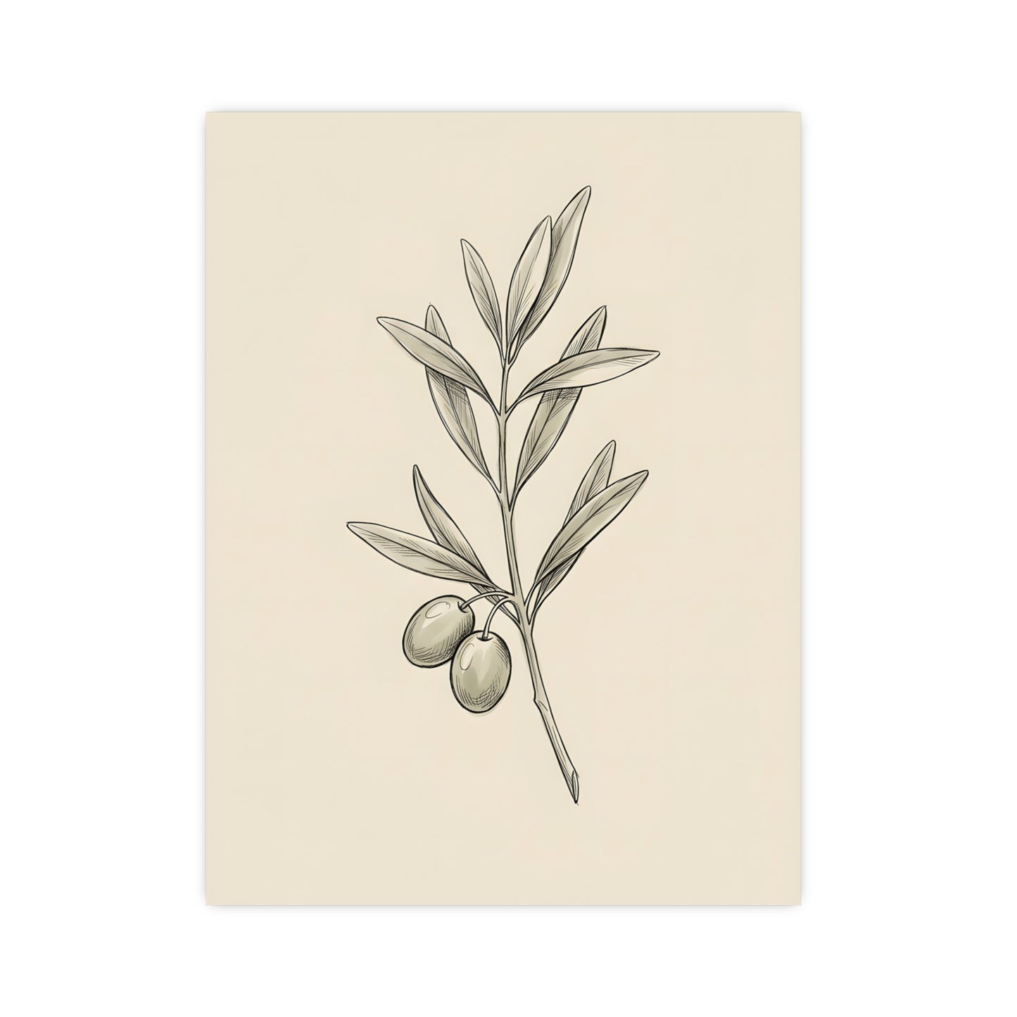 Olive Branch — olive branch, 16x24 in print