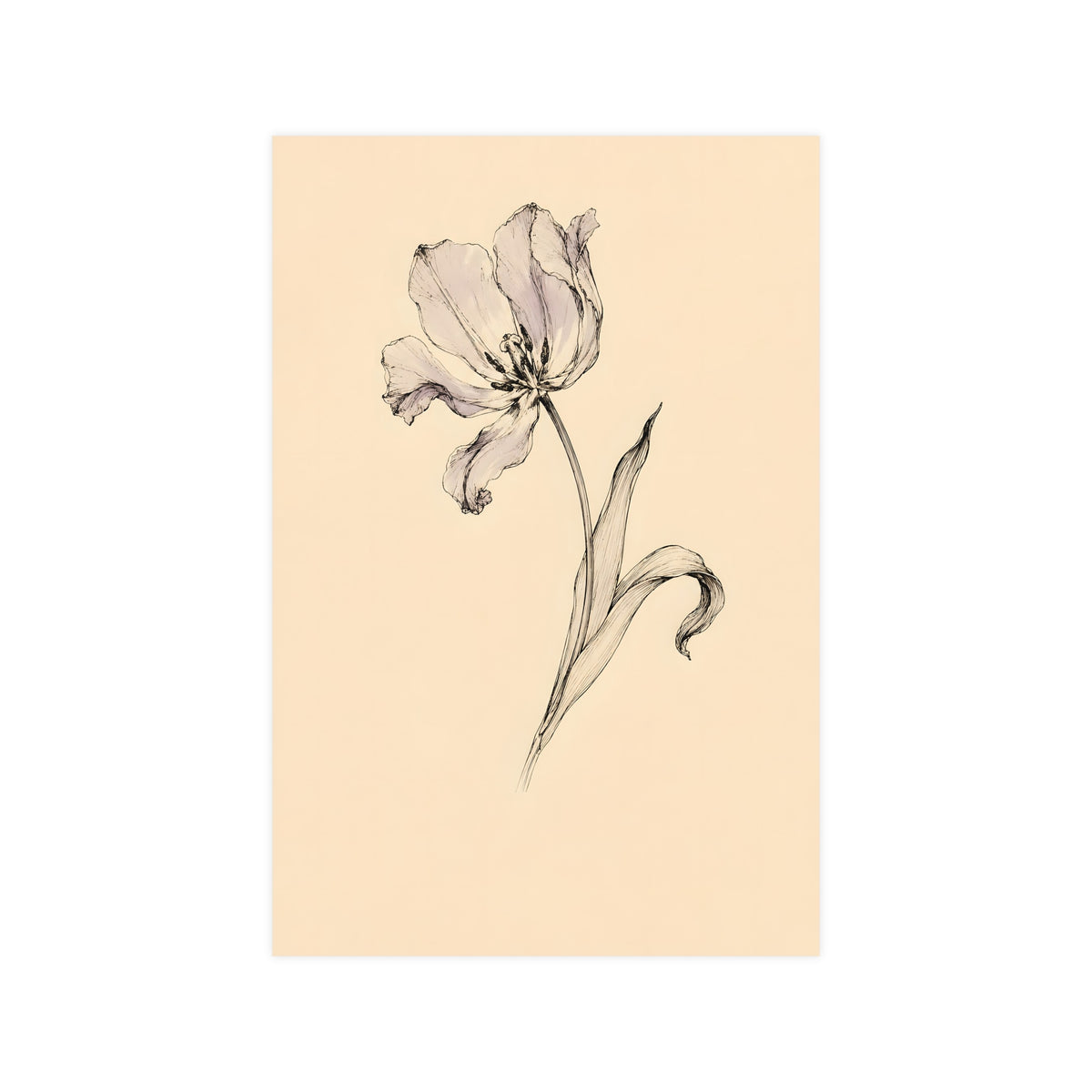 Tulip, Just Past — tulip, just past, 12x18 in print