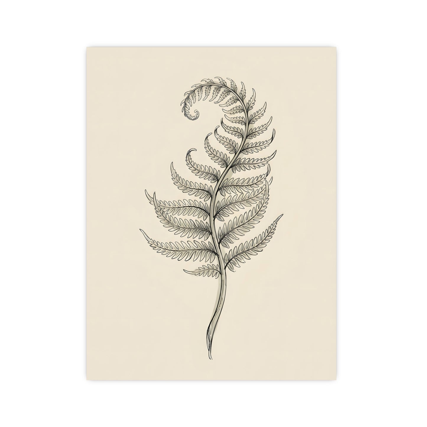 Fern Frond — fern frond, 16x24 in print