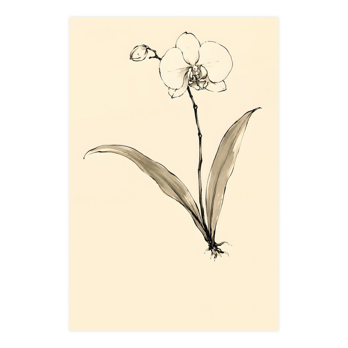 Orchid — orchid, 24x36 in print
