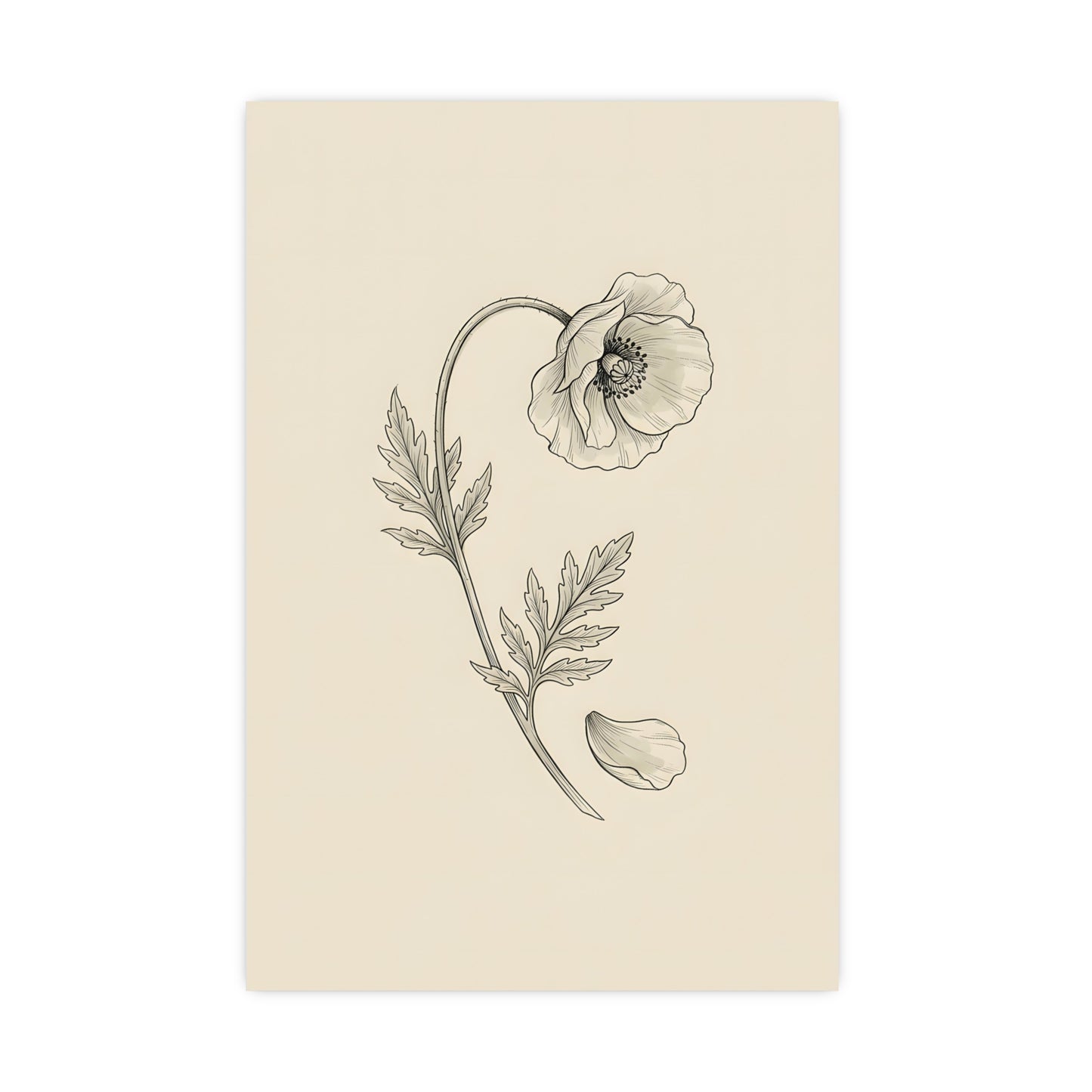 Wild Poppy on a living room wall beside a tall vase, 20x30 in print