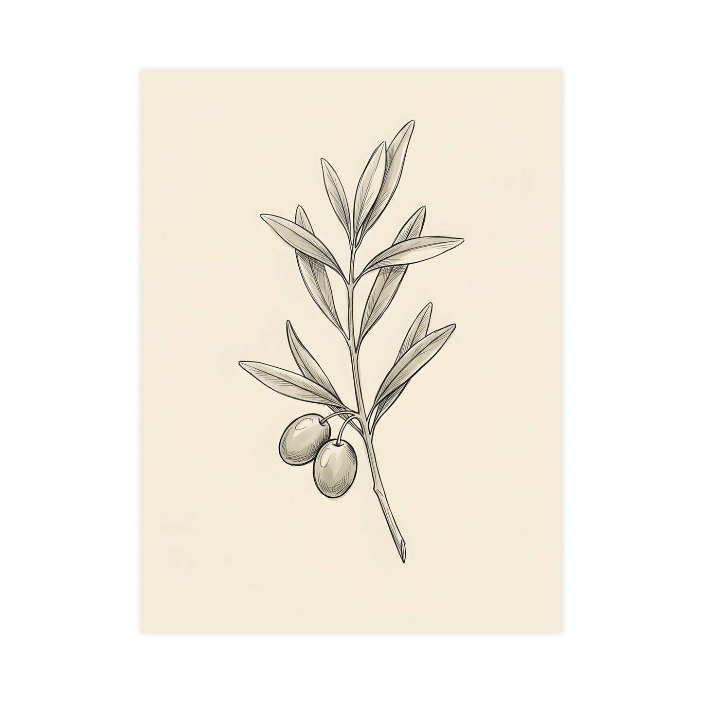Olive Branch — olive branch, 12x18 in print