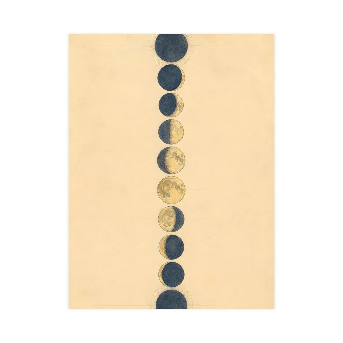 Phases of the Moon — phases of the moon, 18x24 in print