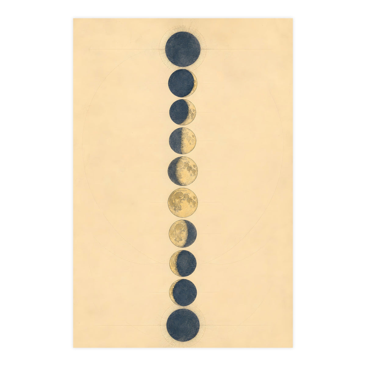 Phases of the Moon — phases of the moon, 24x36 in print