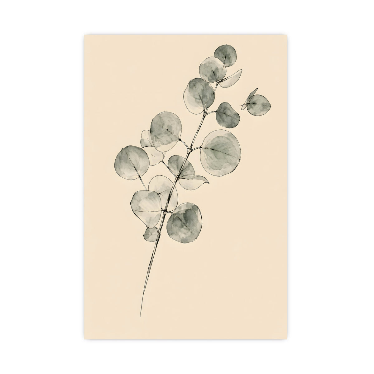 Eucalyptus — eucalyptus, 16x24 in print