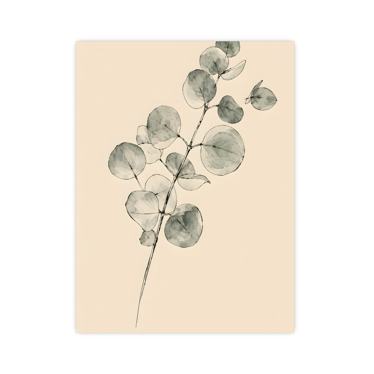 Eucalyptus — eucalyptus, 12x16 in print