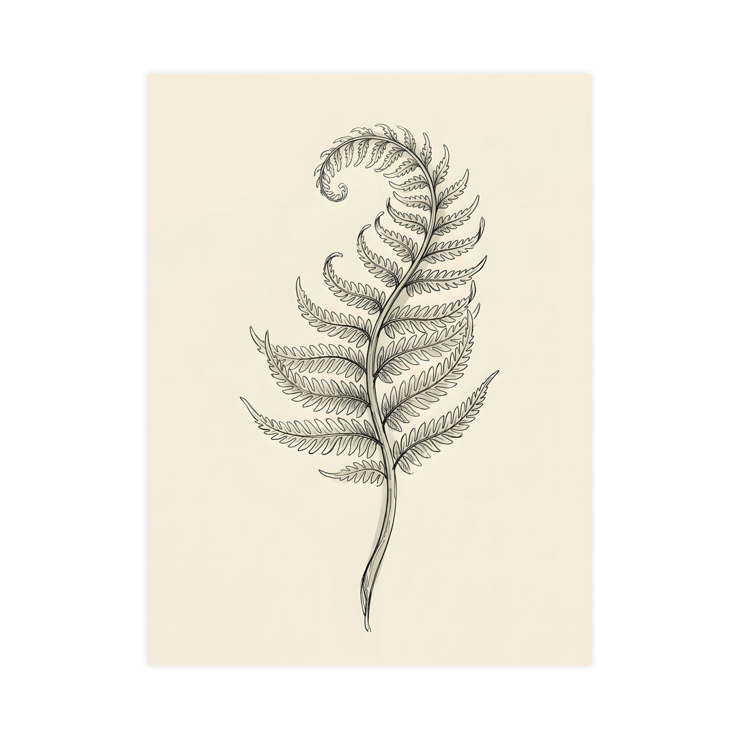 Fern Frond — fern frond, 12x18 in print