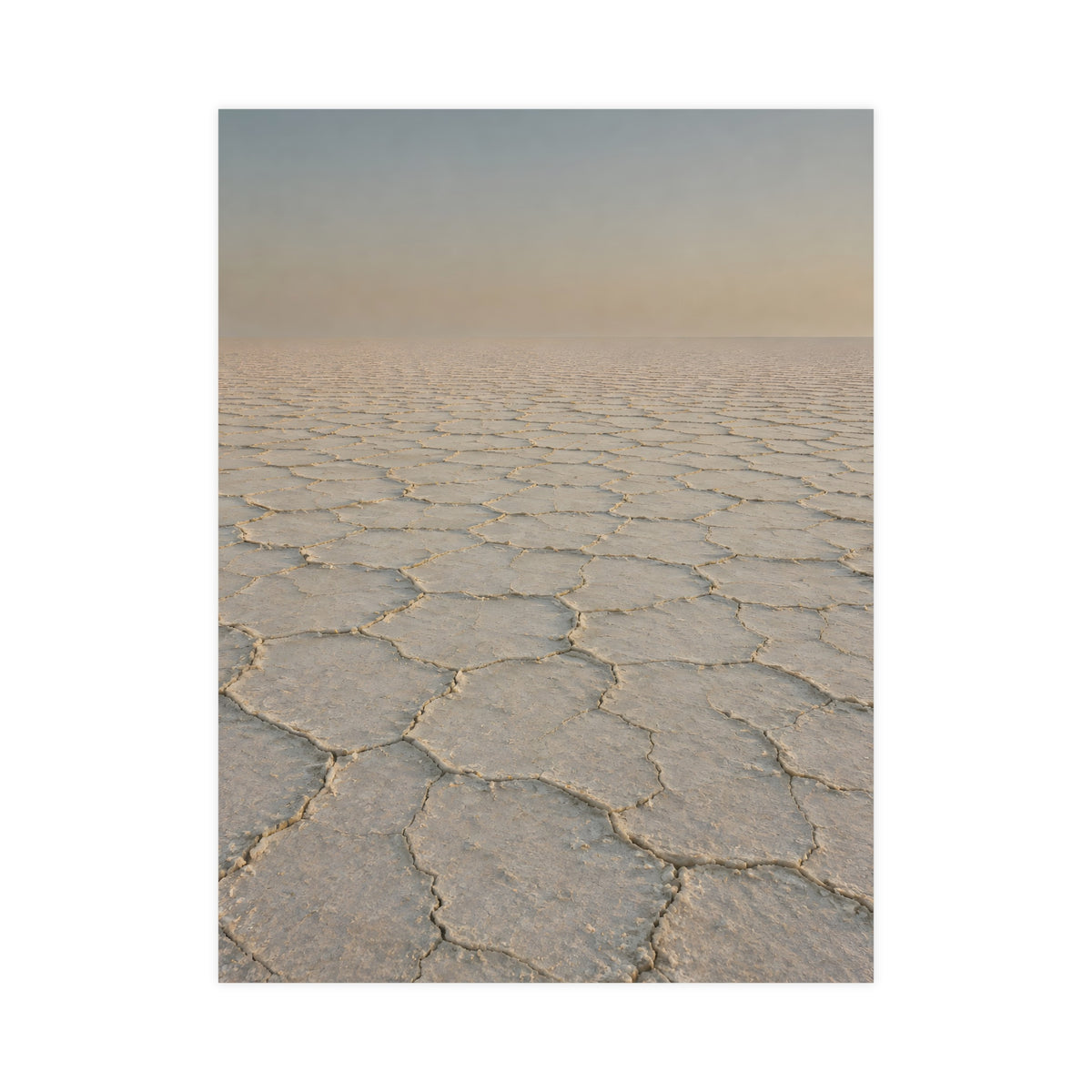 Salt Crust — salt crust, 18x24 in print